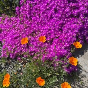 Meet your Posher, Cassie